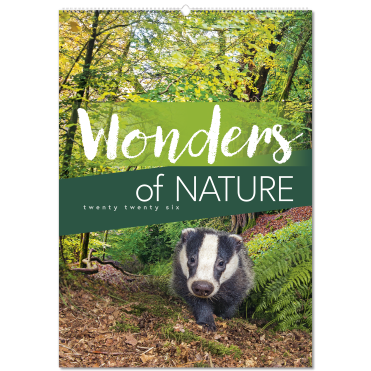 Wonders of Nature Wall Calendar
